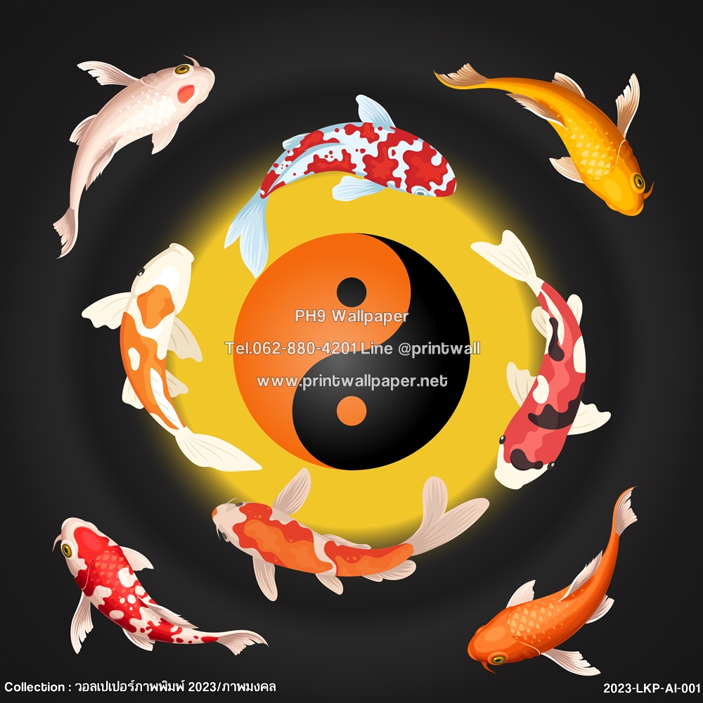 ภาพหยินหยาง,ภาพปลาคาร์ฟ,วอลเปเปอร์หยินหยาง,วอลเปเปอร์ภาพปลาคาร์ฟ,ภาพมงคล,พิมพ์วอลเปเปอร์,พิมพ์สติ๊กเกอร์